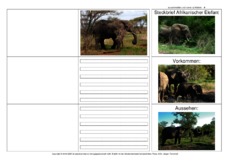 Flip-Flap-Afrikanischer-Elefant-1.pdf